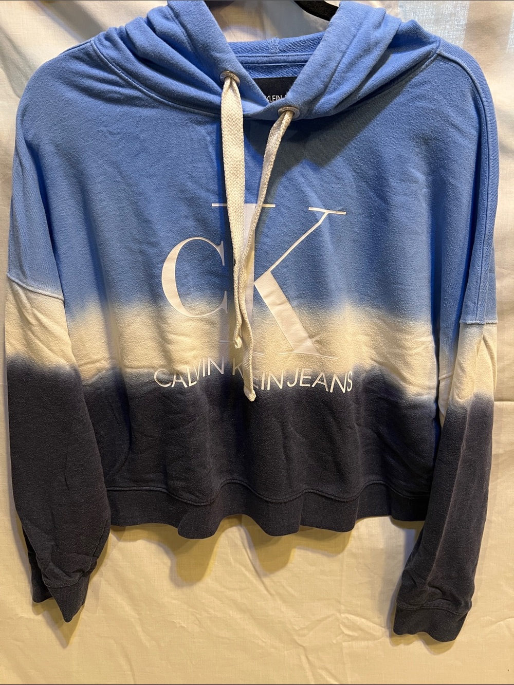 Calvin Klein Jeans Blue & Navy Ombre CK Logo Hoodie Sweater